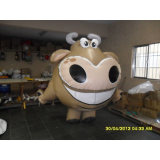 valor de fantasia inflável para mascote Taciba